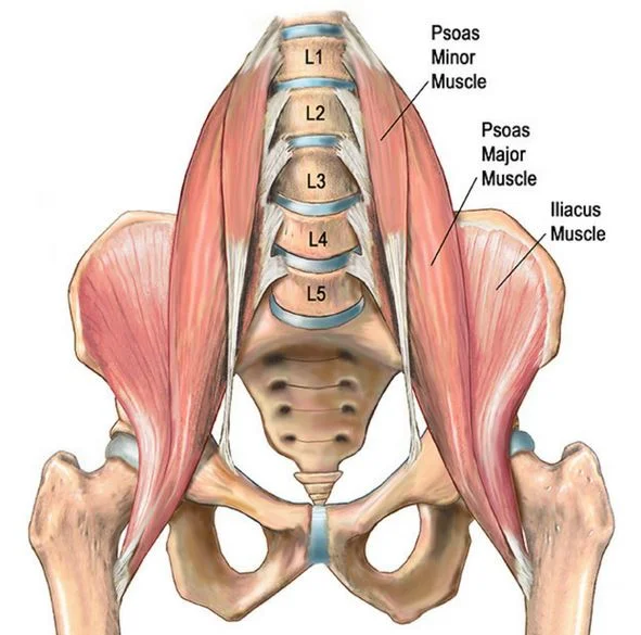 Psoas voetreflexplus behandeling